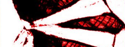 notiv-01
