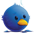 social