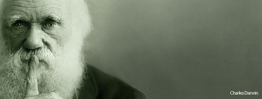 Darwin