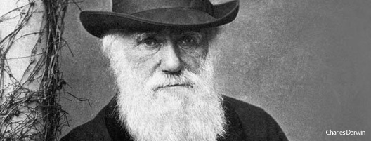 darwin-02