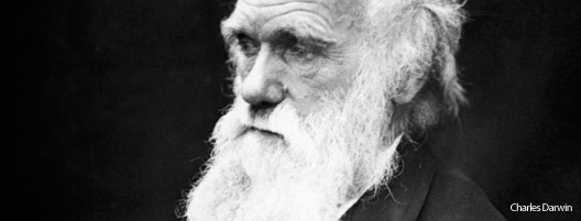 darwin-05