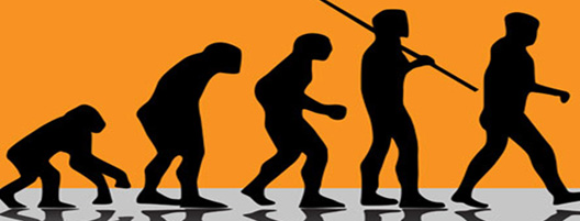 Evolucion