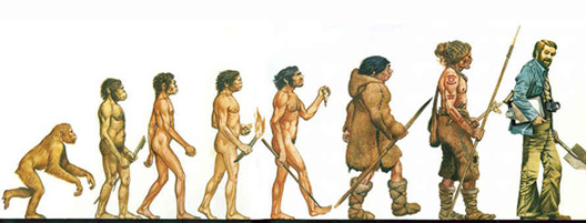 Resultado de imagen para evolucion biologica